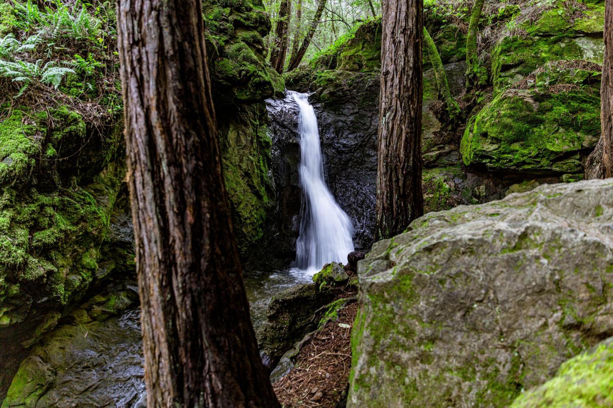 Enchanted Waterfall Sanctuary ミルバレー エクステリア 写真