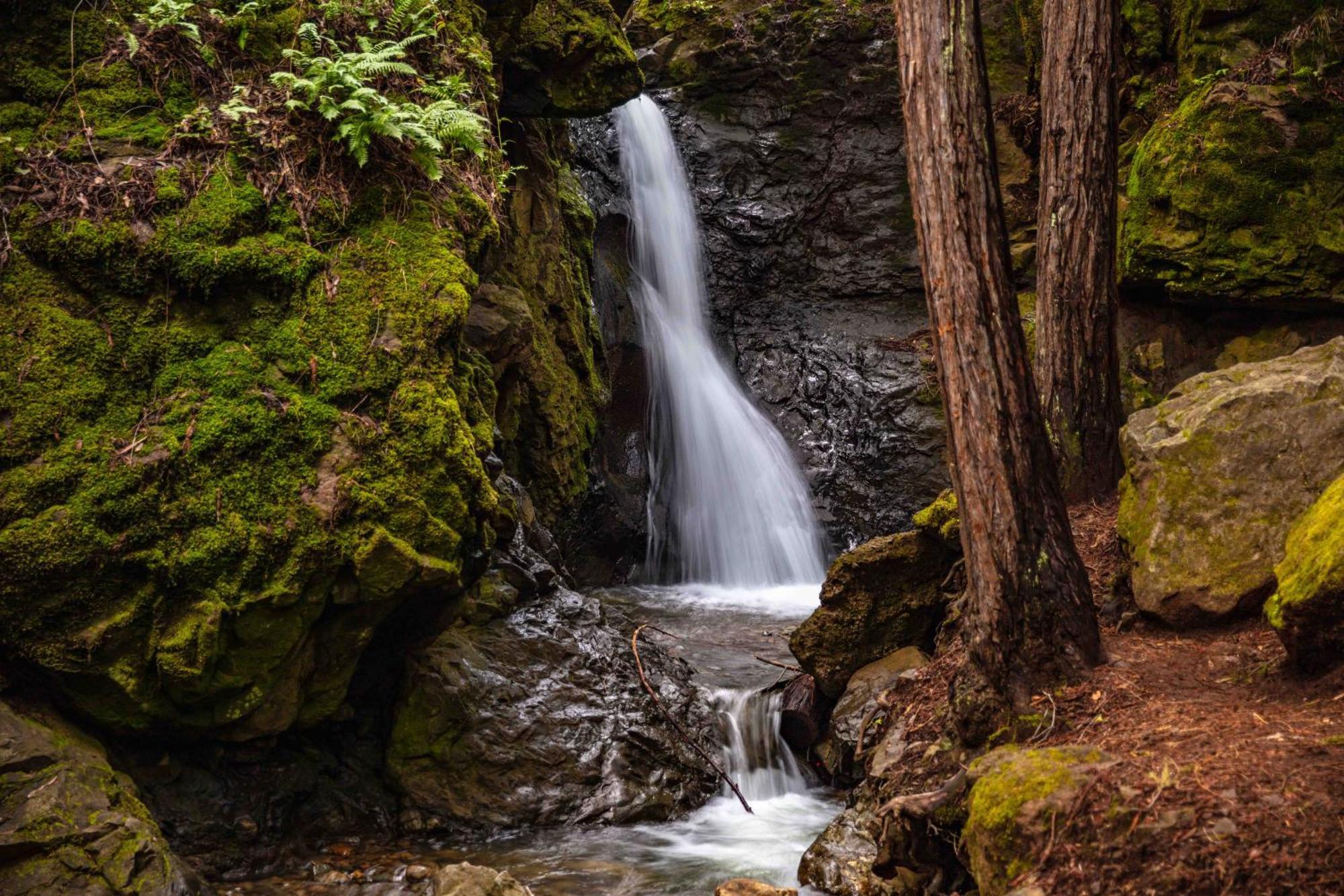 Enchanted Waterfall Sanctuary ミルバレー エクステリア 写真
